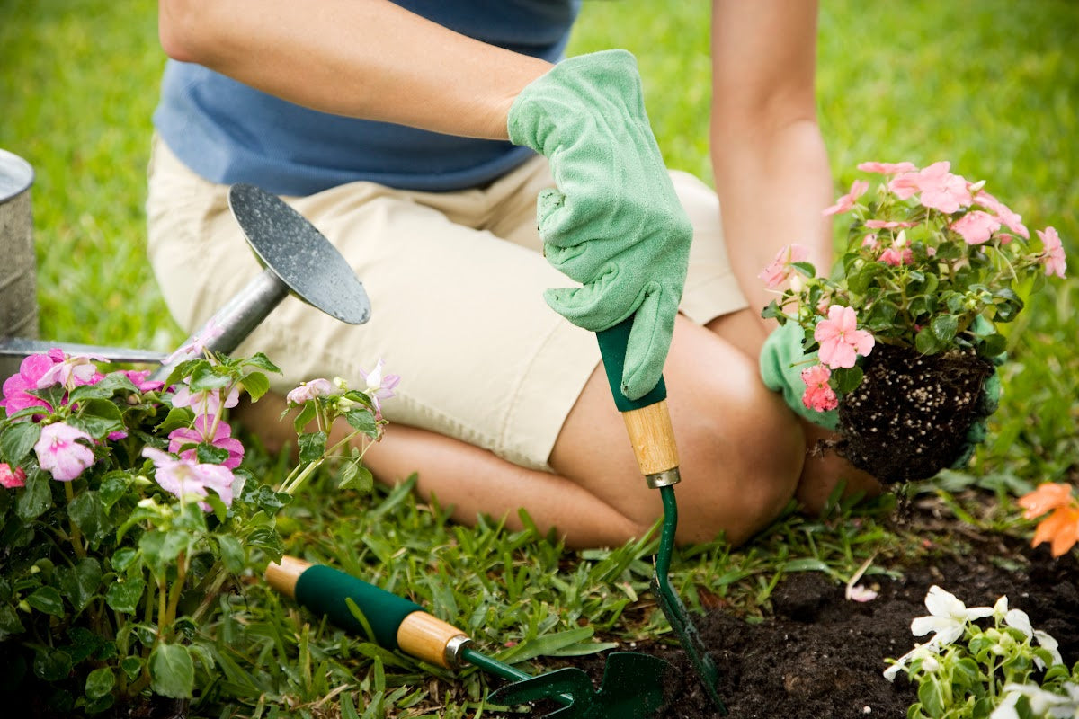 5 Ways to Be a Better Gardener