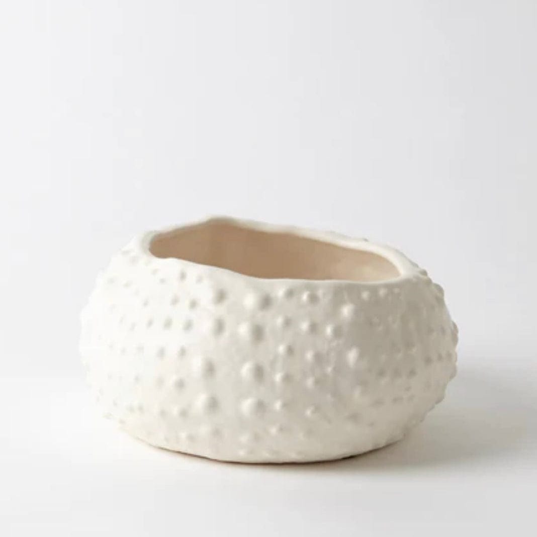 Sarah Baeumler Ceramics Collection