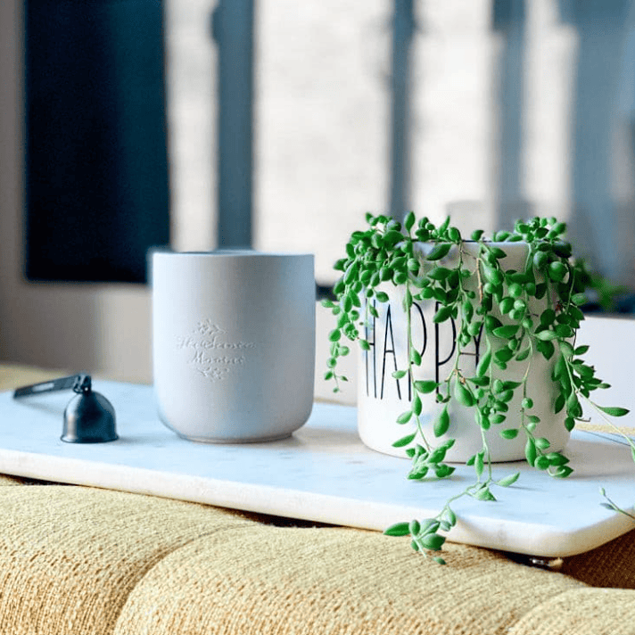 The Scented Market - Home Candle Collection LIVING ROOM Clay Jar