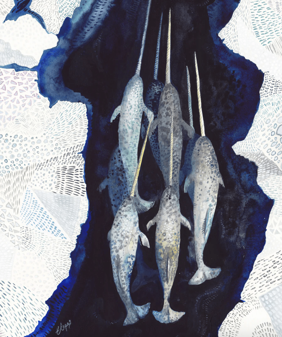 JIGGY Puzzles - Narwhal