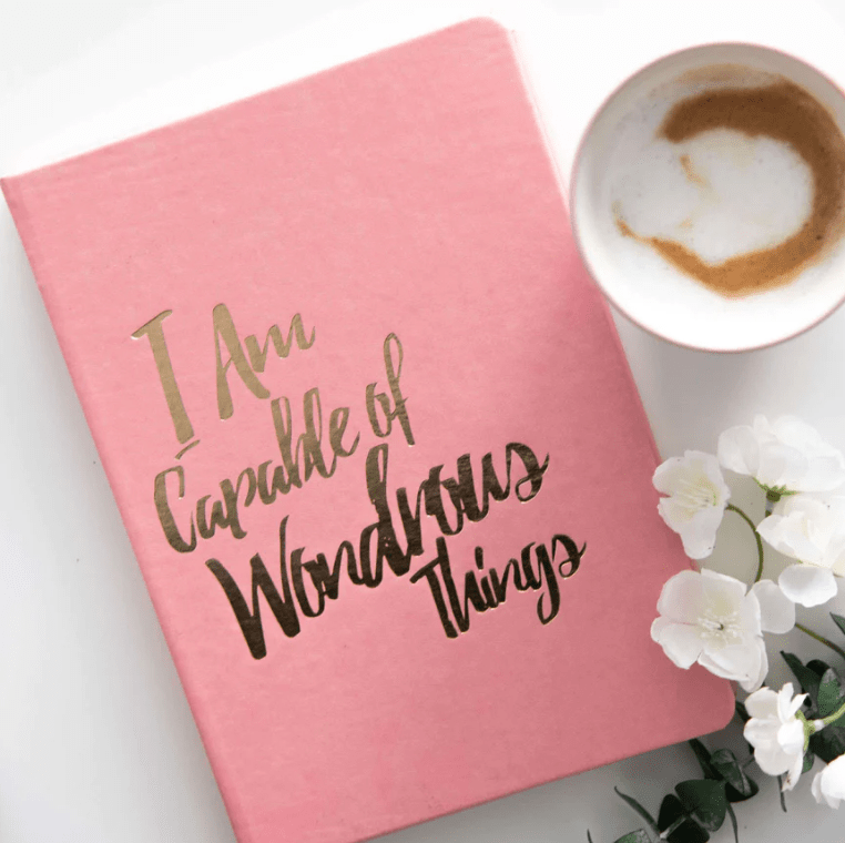 PleaseNotes CLARITY Journal