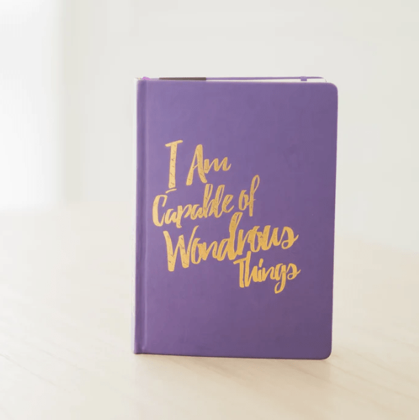 PleaseNotes CLARITY Journal