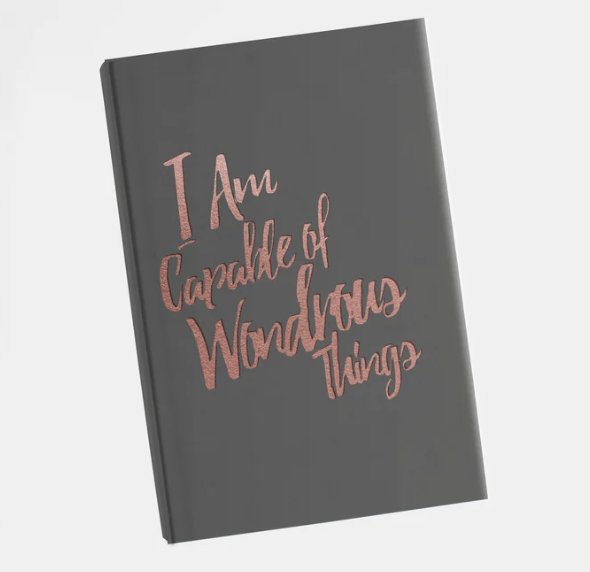 PleaseNotes CLARITY Journal