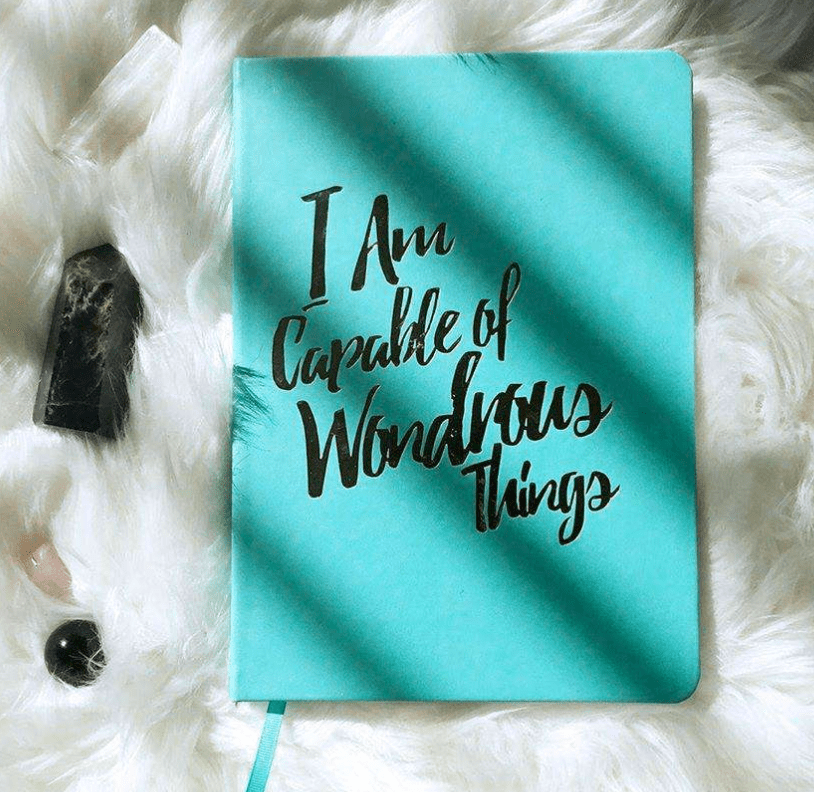 PleaseNotes CLARITY Journal