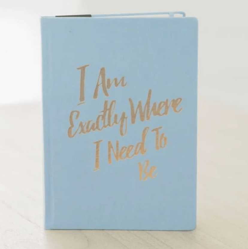 PleaseNotes GRATITUDE Journal