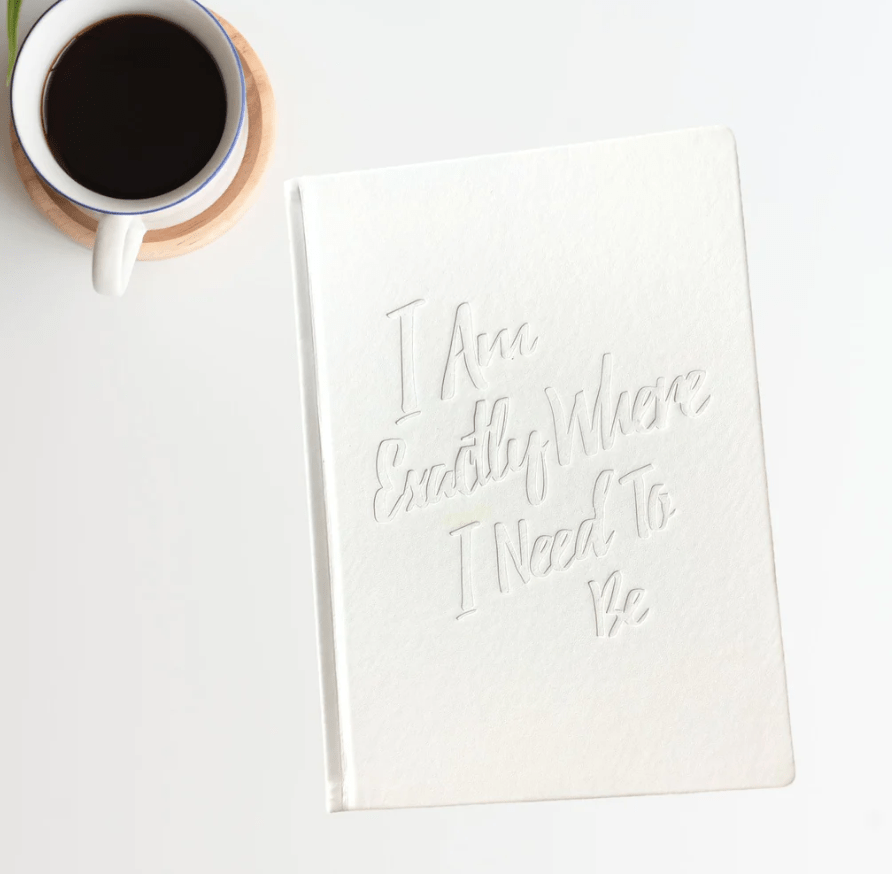 PleaseNotes GRATITUDE Journal