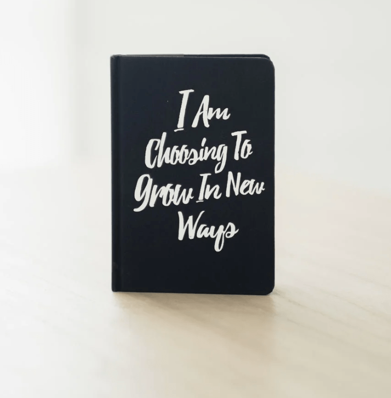 PleaseNotes INCLUSION Notebook