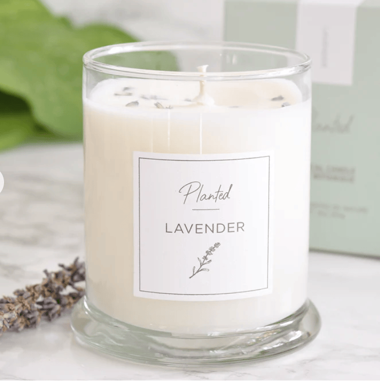 PLANTED Lavender Soy Candle