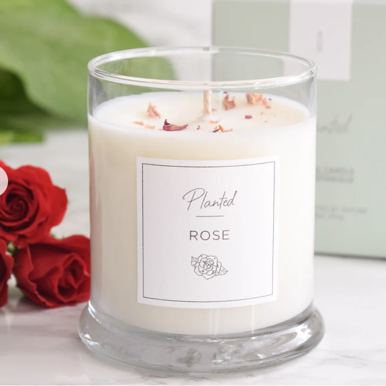 PLANTED Rose Soy Candle