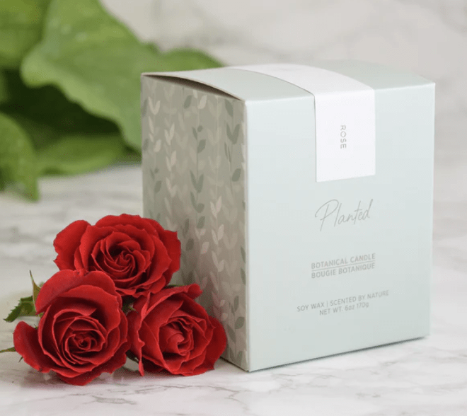 PLANTED Rose Soy Candle