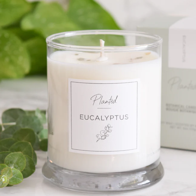 PLANTED Eucalyptus Soy Candle