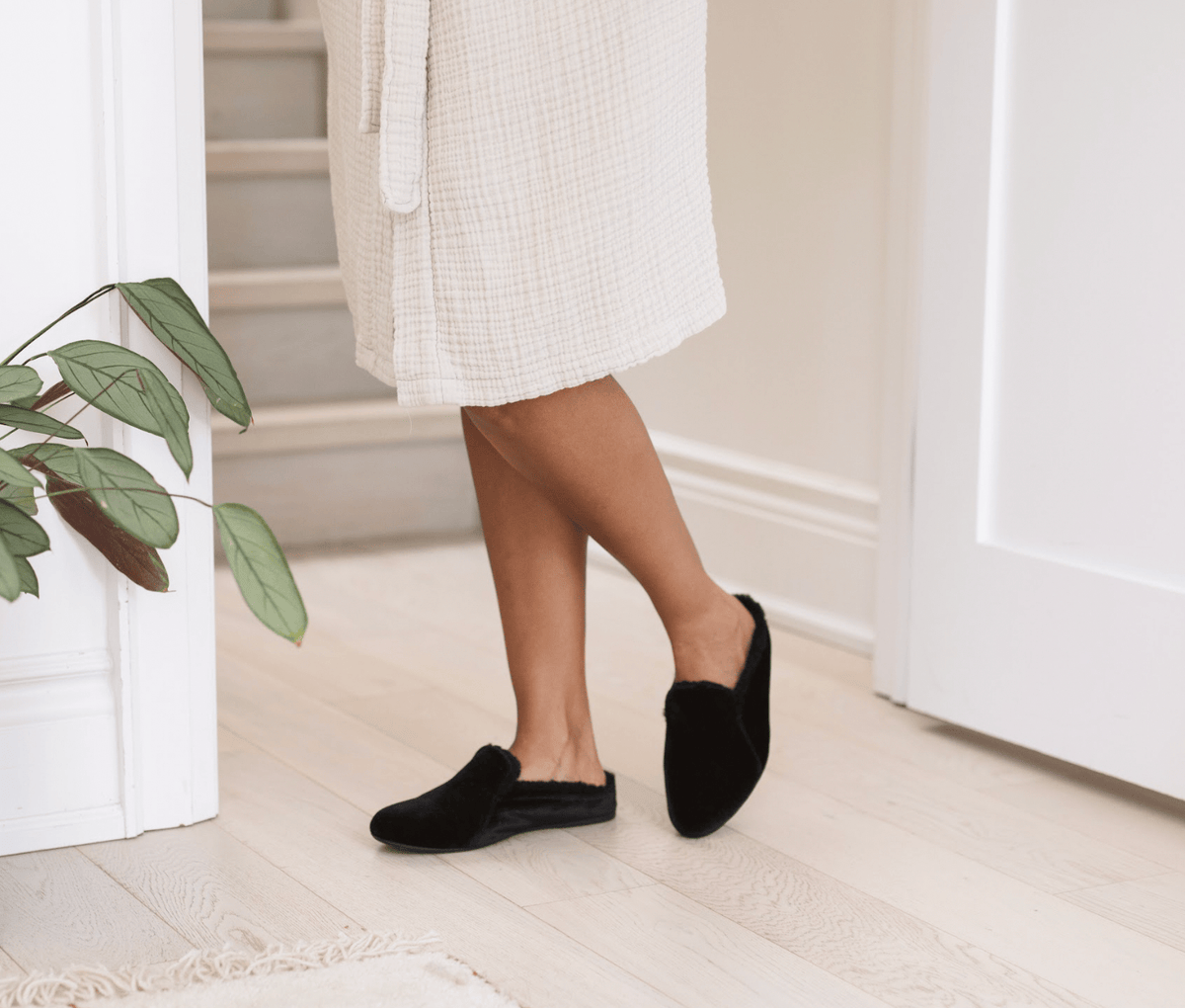 The Maya - Backless Mule