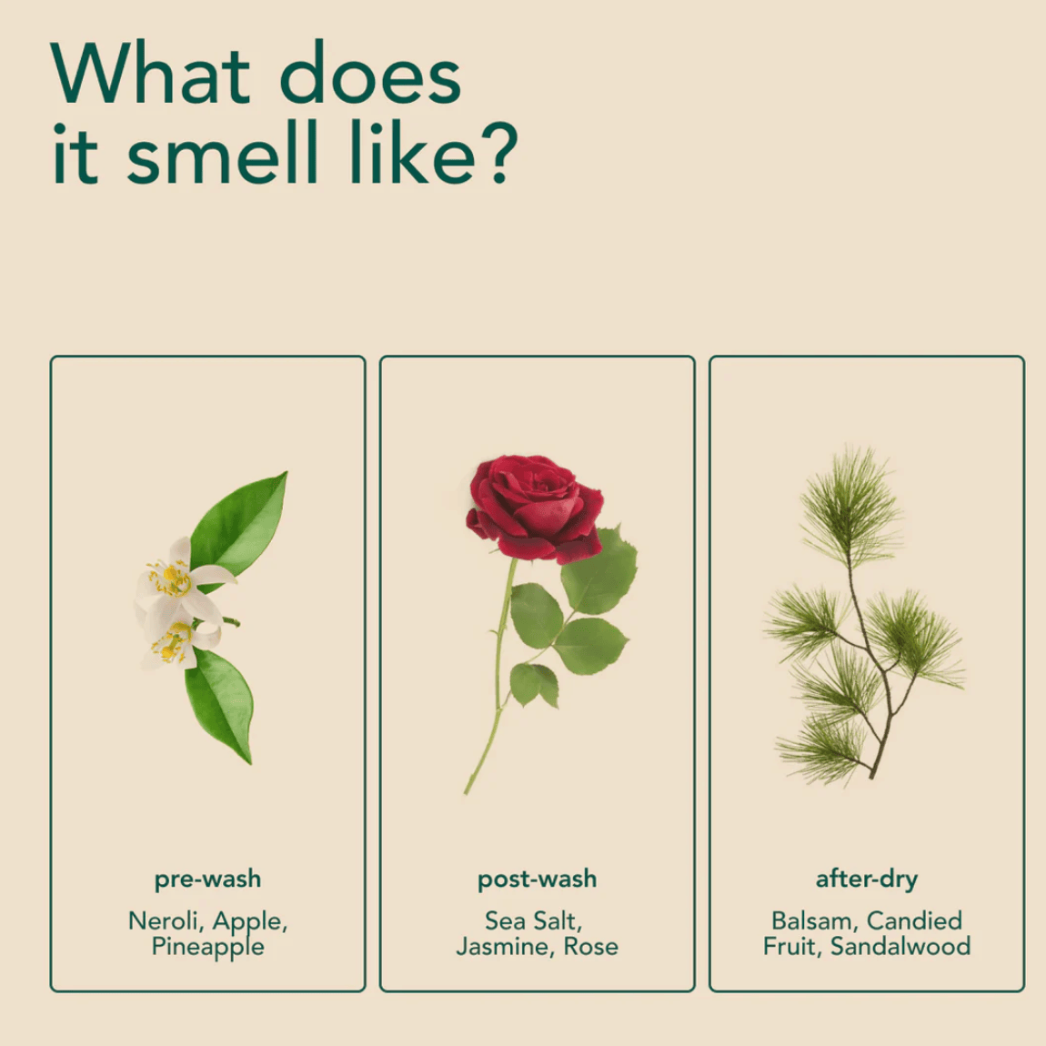 Kind Laundry In-Wash Scent Booster - Neroli Zen (21 Loads)