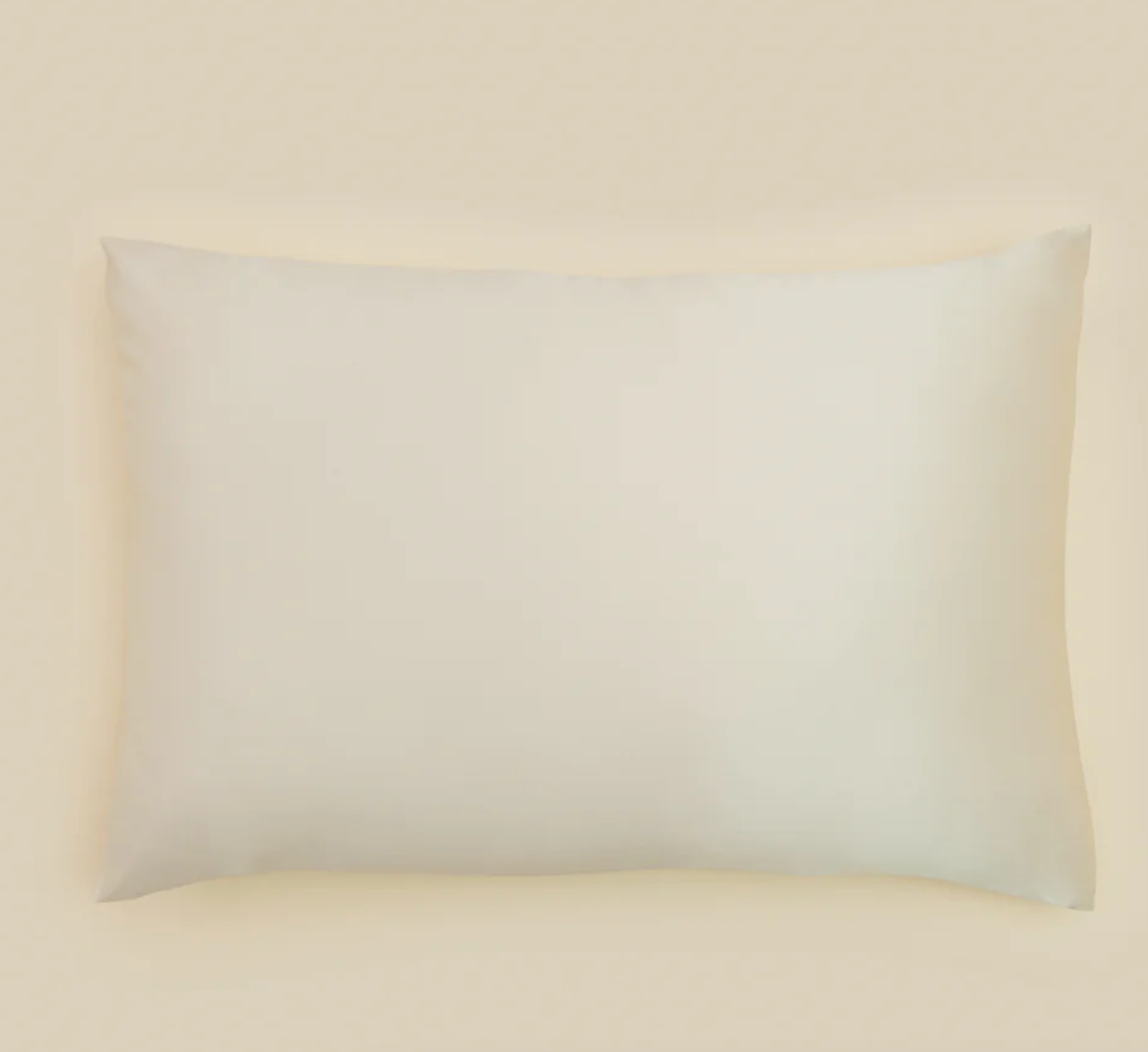 AEPTOM Mulberry Silk Pillowcase
