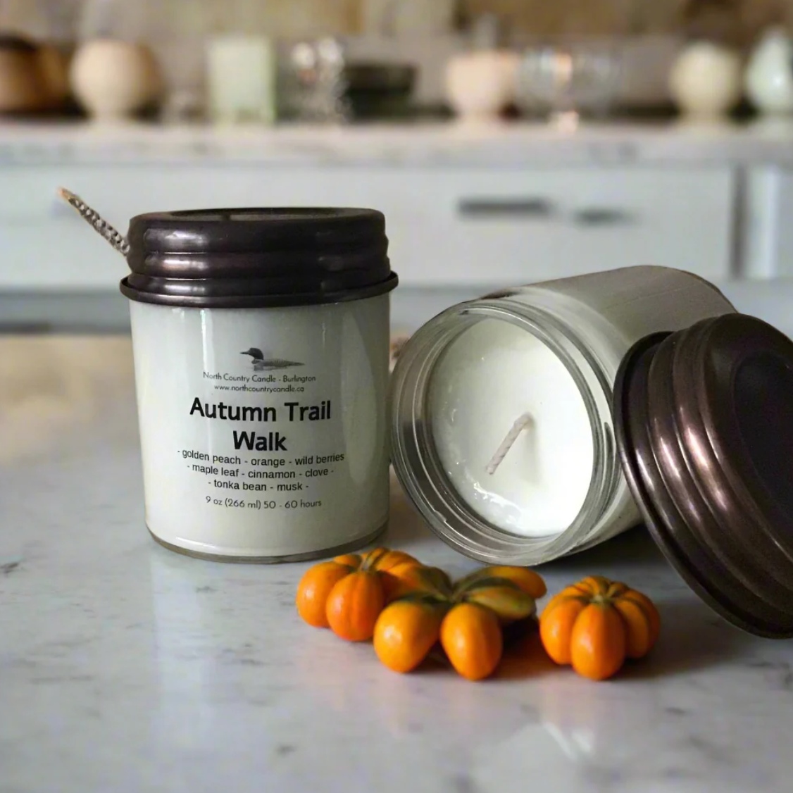 North Country Candle - 9oz AUTUMN TRAIL WALK Candle with Copper Lid