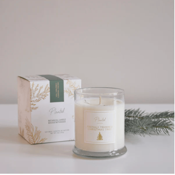 Screenshot of Plantd Christmas Tree candle, Sept 13, 2025