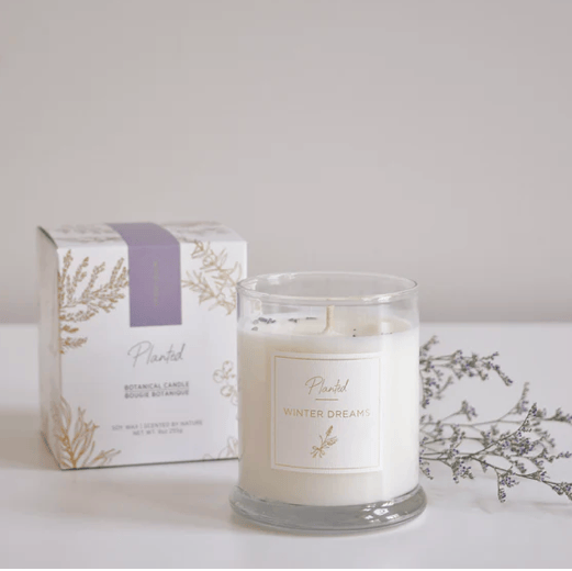 Screenshot of a Planted Winter Dream candle and box, Sept 13, 2025.