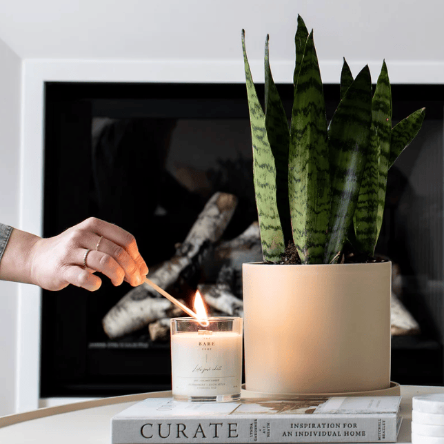The Bare Home Candle - About That Summer Day