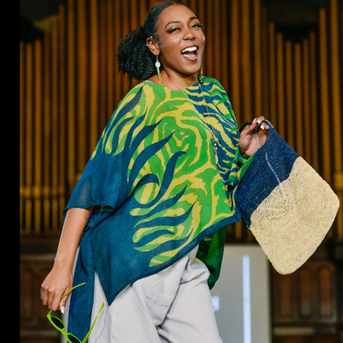 sariKNOTsari Avatar Pure Silk Hi-Lo Top