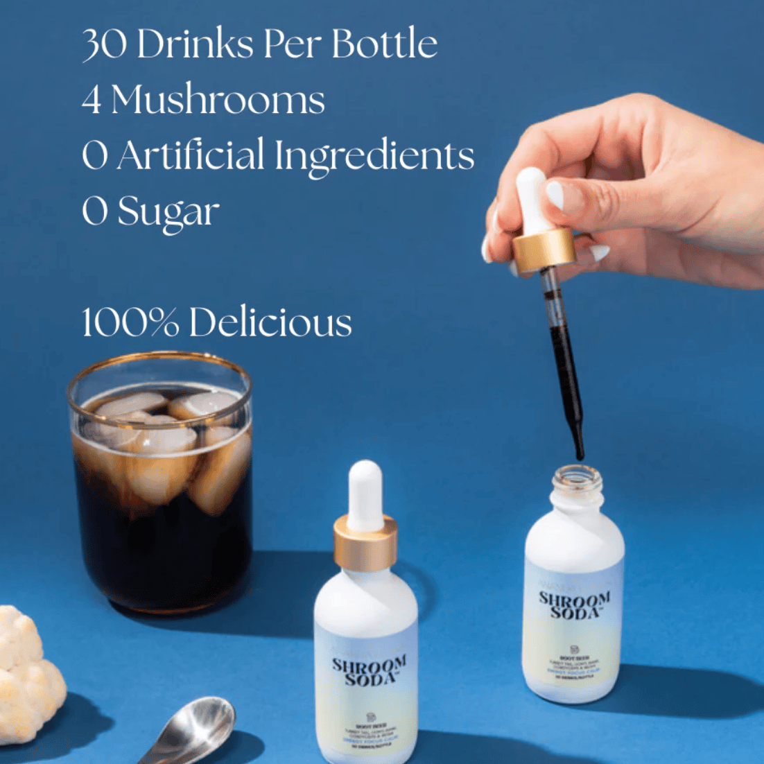 Ananda Elixirs - ROOT BEER Shroom Soda®