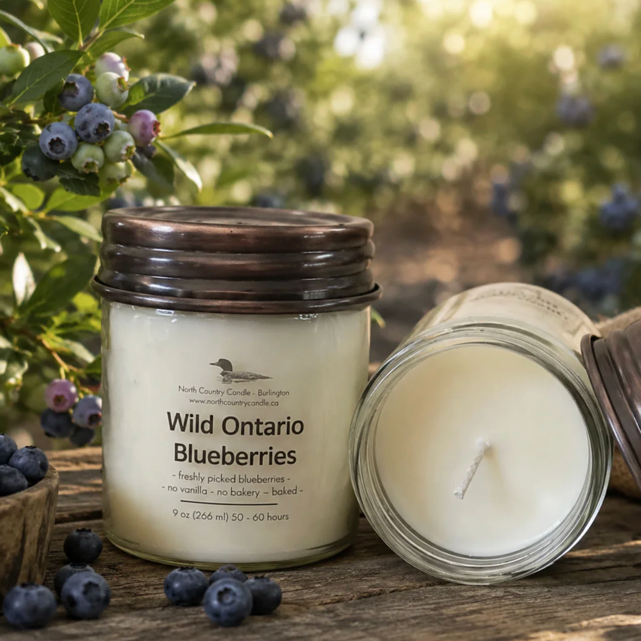 North Country Candle - WILD ONTARIO BLUEBERRIES Soy Wax Candle with Copper Lid