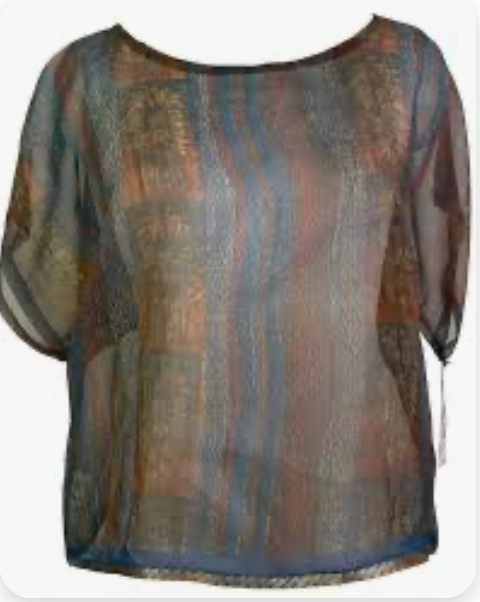 sariKNOTsari Avatar Pure Silk Boxy Top