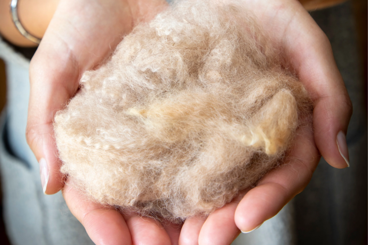 Bringing the Warmth of the Andes to Canada: A Simple Approach to Sustainable Living