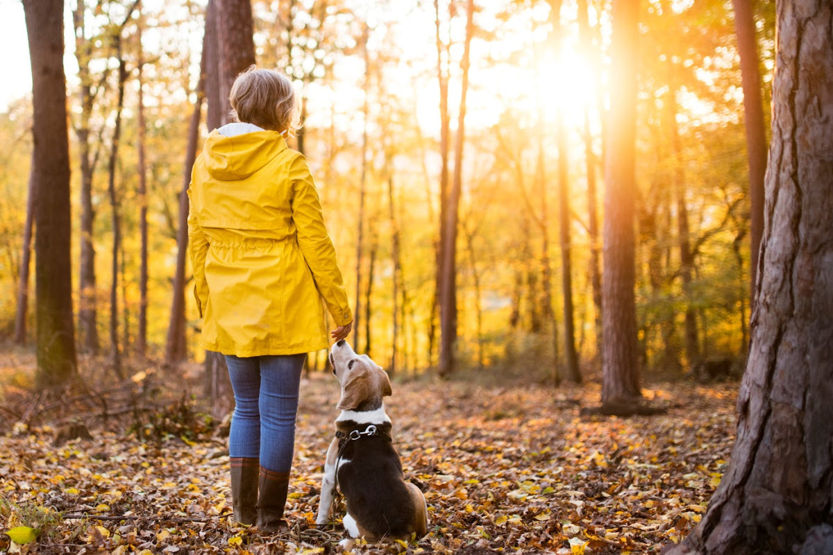 How to Get More Sunshine During Shorter Days