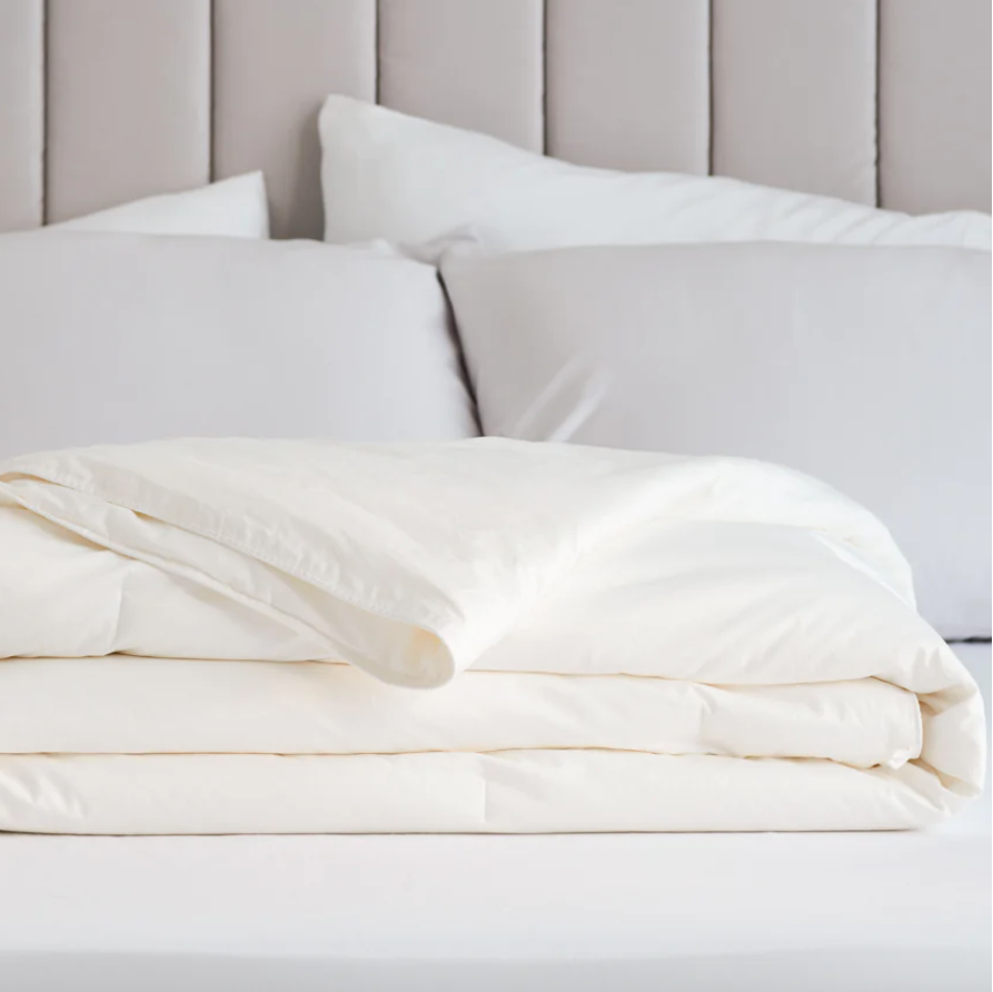AEPTOM Mulberry Silk-Filled Duvet Insert
