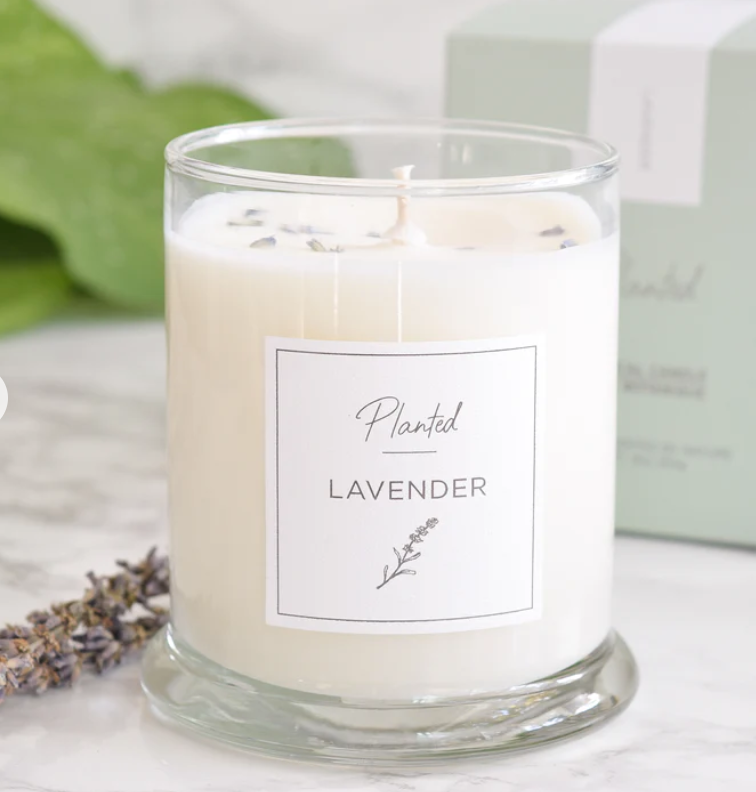 PLANTED Lavender Soy Candle