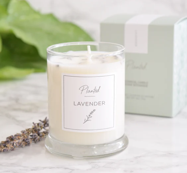 PLANTED Lavender Soy Candle