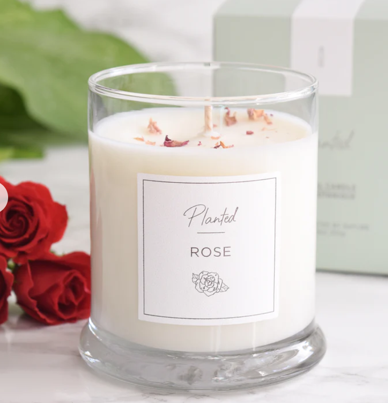 PLANTED Rose Soy Candle