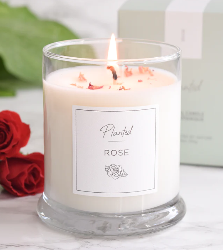 PLANTED Rose Soy Candle