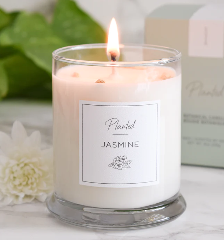 PLANTED Jasmine Soy Candle
