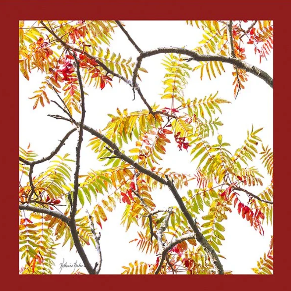 LOLILI Fine Art Scarf - Sumac