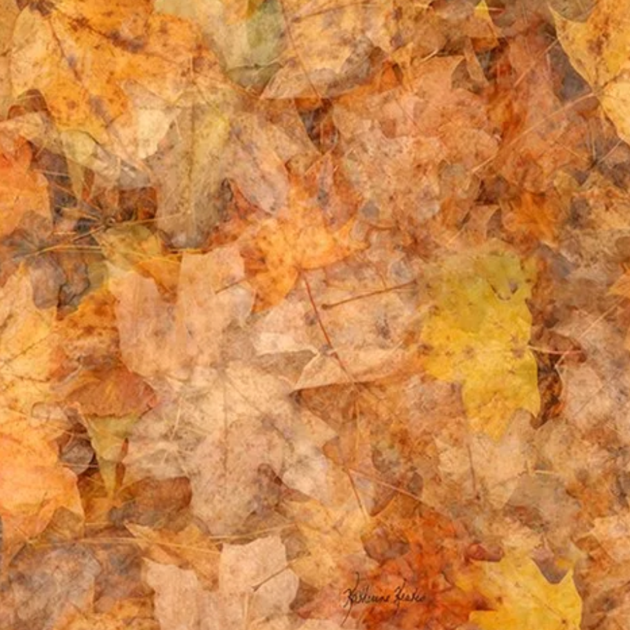 LOLILI Fine Art Scarf - Autumn Montage Rectangular
