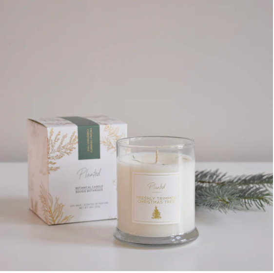 PLANTED 9oz Christmas Tree Soy Candle