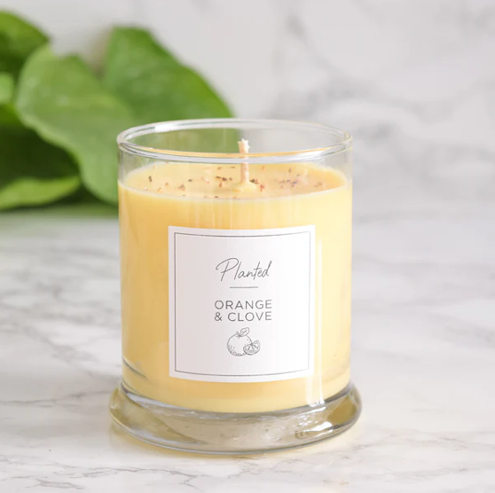 PLANTED 9oz Orange & Clove Soy Candle