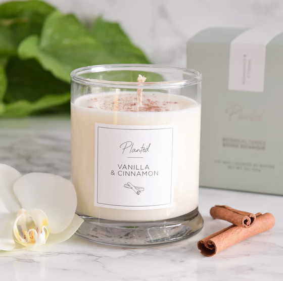 PLANTED 9oz Cinnamon & Vanilla Soy Candle