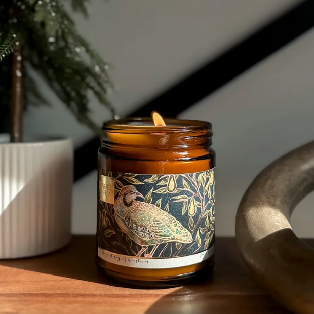 NOËL & CO First Day of Christmas 8oz Holiday Candle
