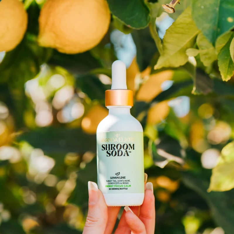 Ananda Elixirs - LEMON LIME Shroom Soda®
