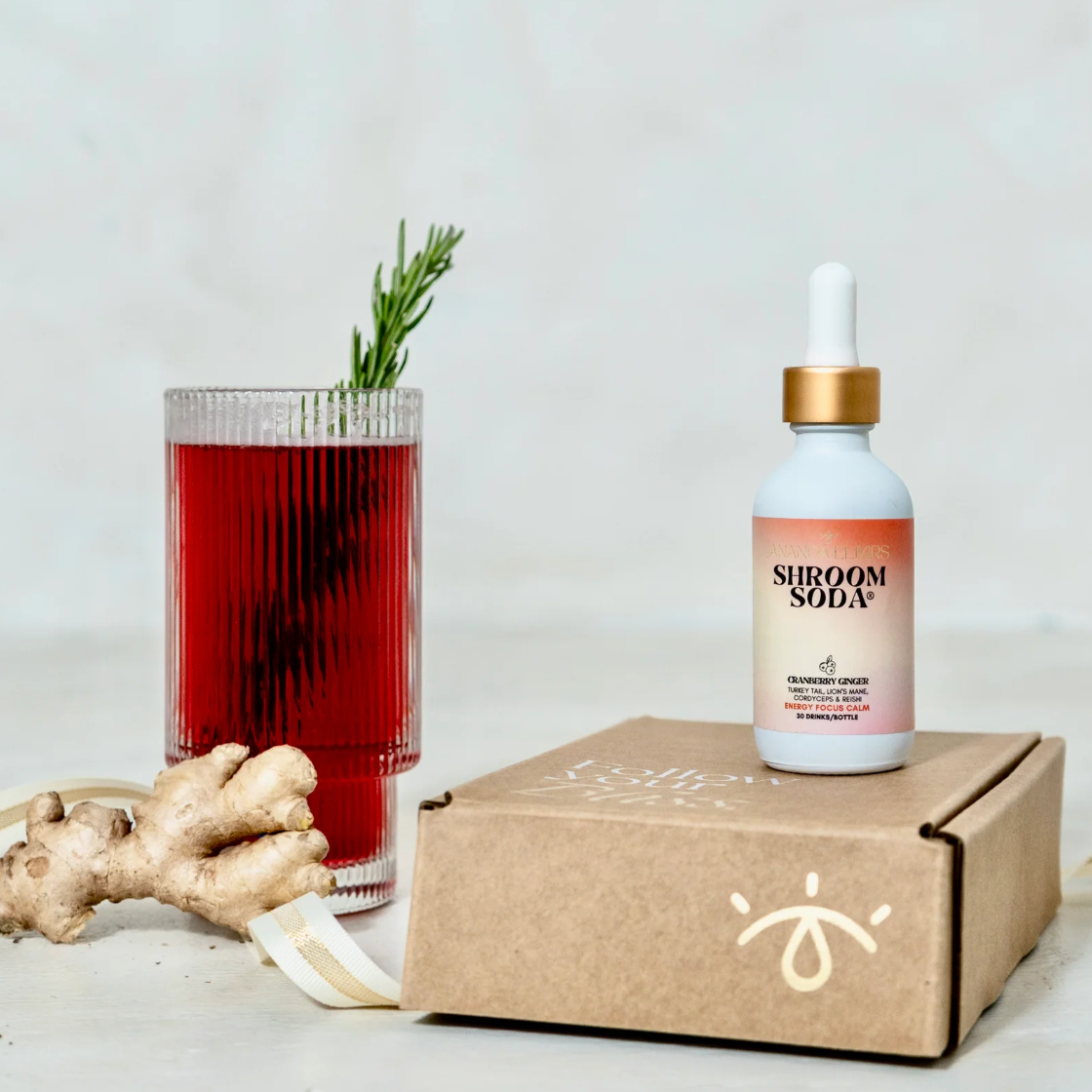 Ananda Elixirs - CRANBERRY GINGER Shroom Soda®