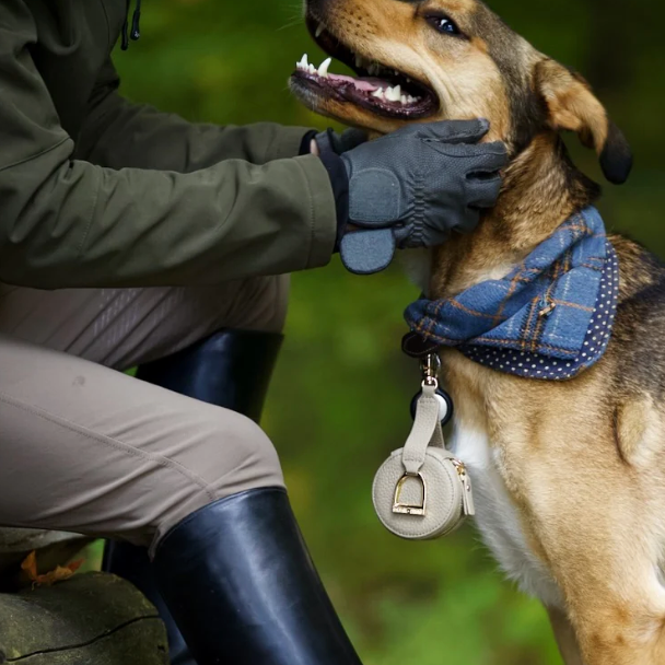 Oakbark & Chrome Accessory Keeper