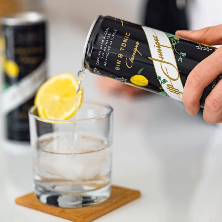 HP Classic Gin & Tonic Cocktail (355ml can)