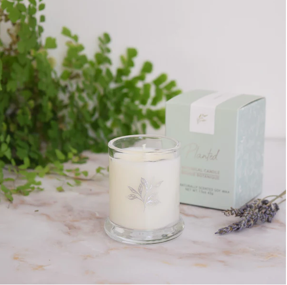 PLANTED Lavender Soy Candle