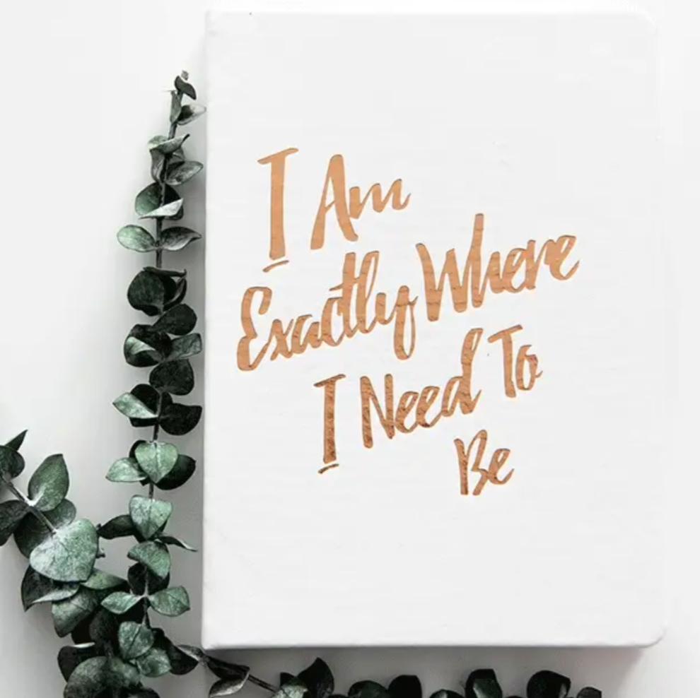 PleaseNotes GRATITUDE Journal