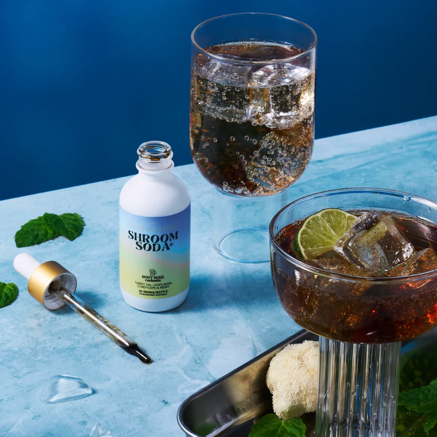 Ananda Elixirs - ROOT BEER Shroom Soda®
