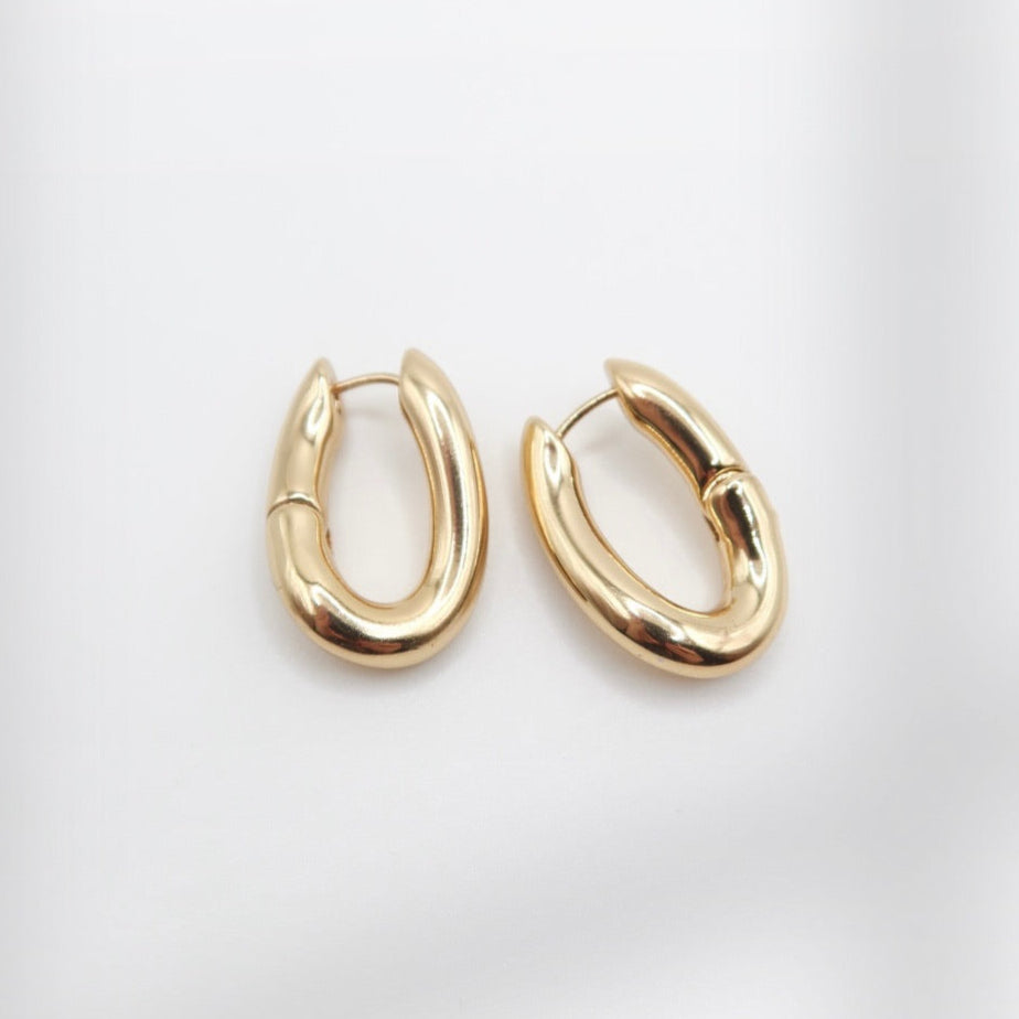 Wild Heart Collective - Hoop Earrings
